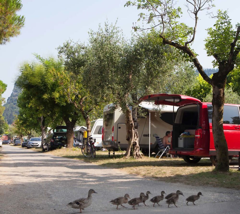 Camping Serenella バルドリーノ エクステリア 写真